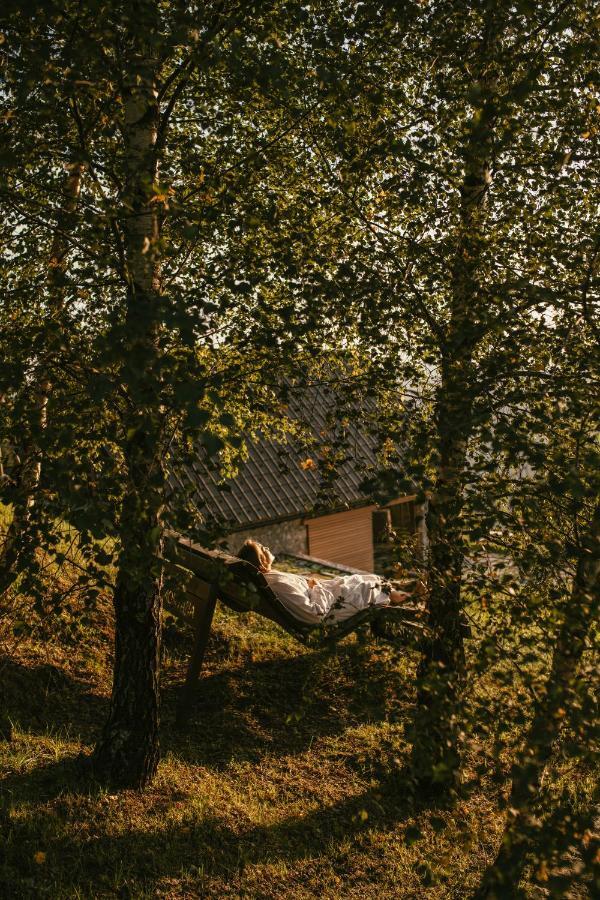 Eco Chalet Astramontana Tolmin Exteriör bild